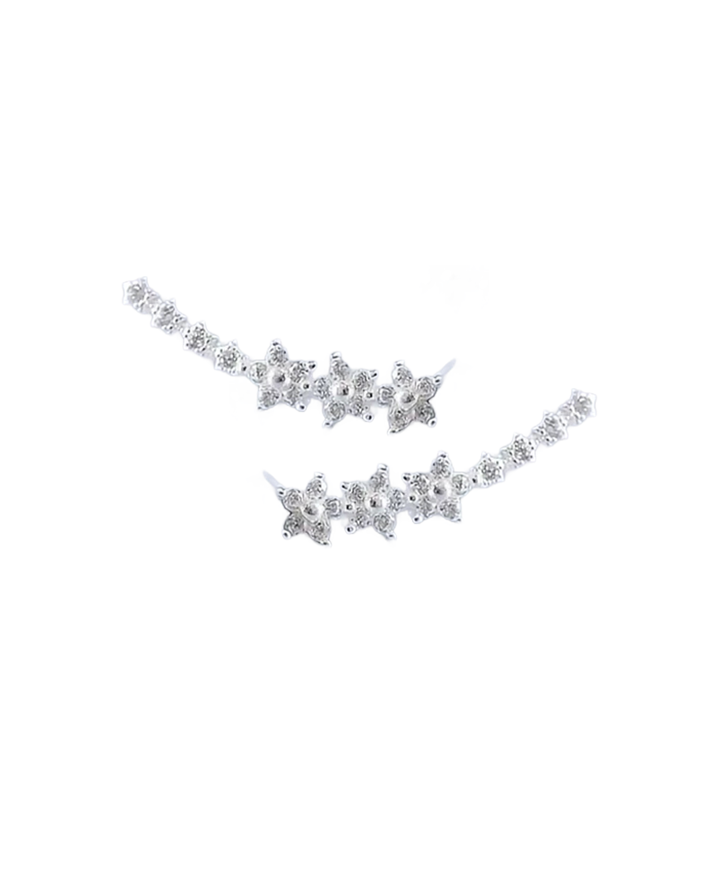 Søde og elegante stjerneøreringe